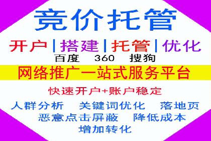 竞价排名案例分析：电商行业