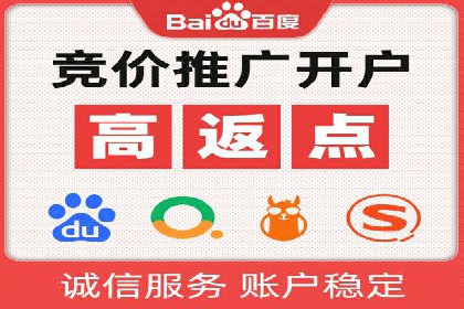 顶级SEM运营公司案例分析